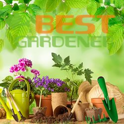 BD97 gardening Bradford